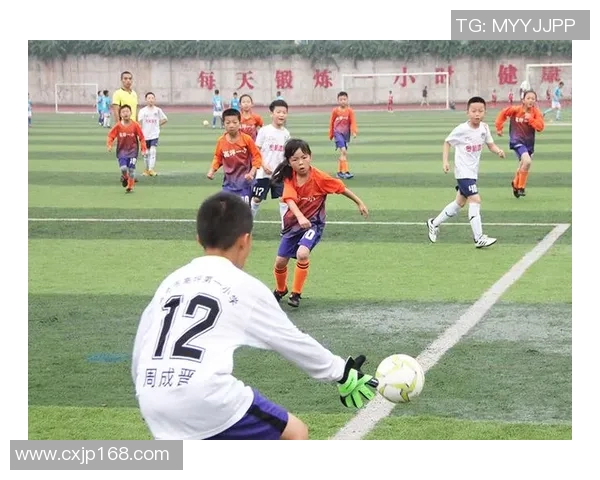 萨卡在绿茵场上的崛起与未来展望：年轻天才的奋斗历程与梦想追逐